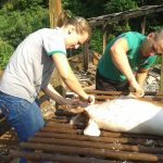Perfil del Bachillerato Técnico Agropecuario